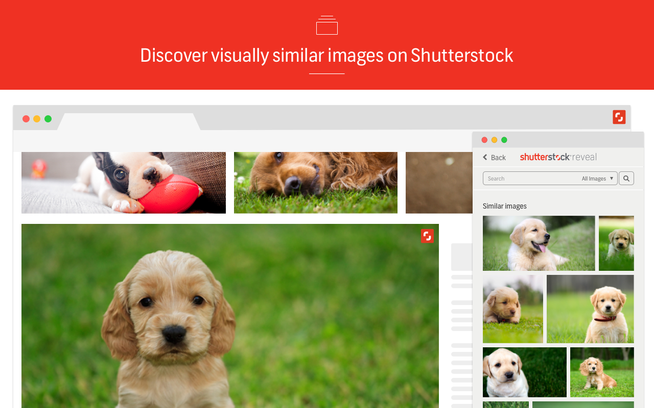 Shutterstock Reveal Chrome Extension